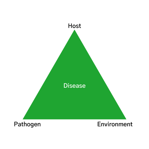 Pathogen - Host - Environment are all required for crop infection to occur.